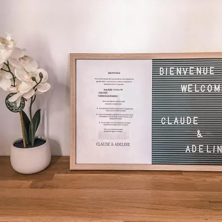Le Cotton D'or - Seduisant Et Reposant - Proche Centre *